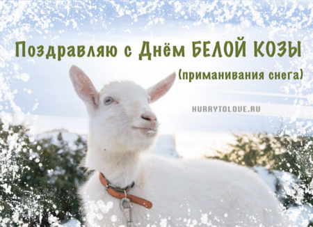 Новогодние открытки к Новому году Козы (Овечки) - скачать бесплатно
