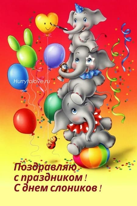 День слонов - картинки и поздравления на Слоноуин к 30 ноября 2023