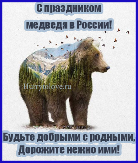 День медведя - картинки прикольные, поздравления на 13 декабря 2023