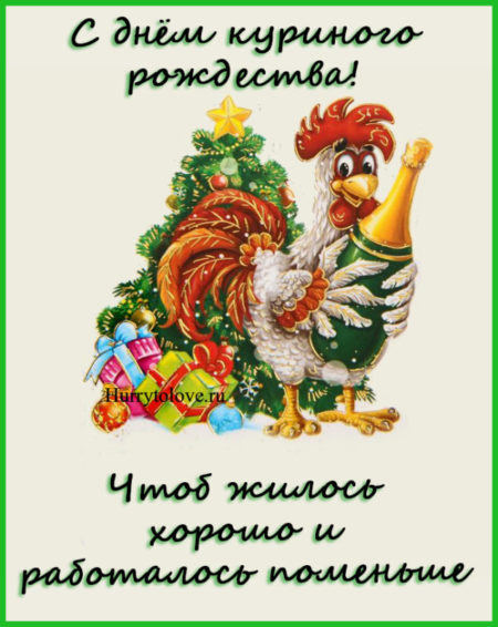 День куриного рождества - картинки прикольные, поздравления на 20 декабря 2023