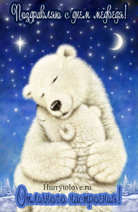 День медведя - картинки прикольные, поздравления на 13 декабря 2023