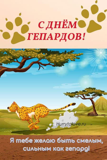 Международный день гепарда - картинки прикольные с надписями на 4 декабря 2023