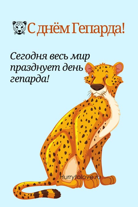 Международный день гепарда - картинки прикольные с надписями на 4 декабря 2023