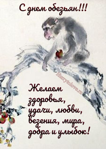 День обезьян - картинки прикольные с надписями на 14 декабря 2023