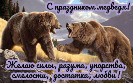 открытки медведь с днем рождения