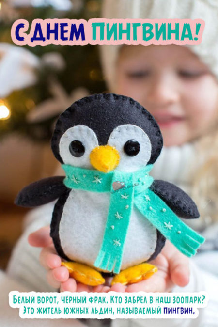 День пингвина - картинки прикольные, поздравления на 20 января 2024
