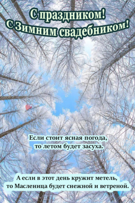 Зимний свадебник - картинки, поздравления в Иванов день на 20 января 2024