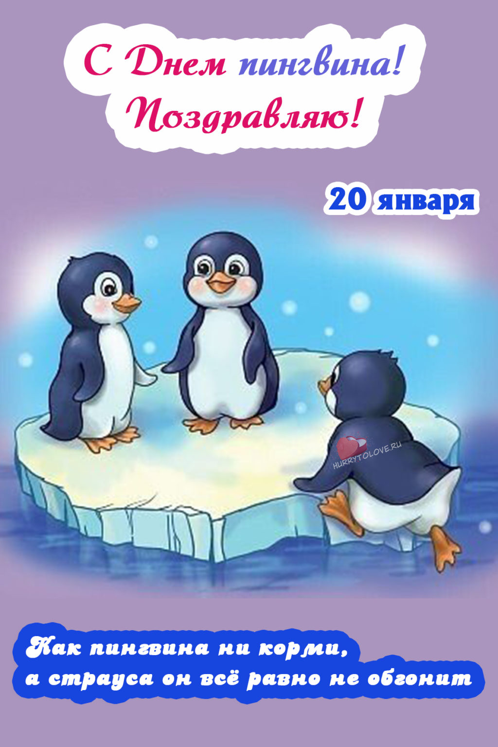 Поздравление с днем пингвина. Открытка с пингвином. Международный день пингвинов.