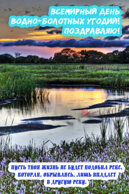 Всемирный день водно-болотных угодий - картинки с пожеланиями на 2 февраля 2024