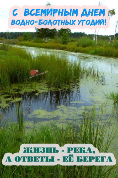 Всемирный день водно-болотных угодий - картинки с пожеланиями на 2 февраля 2024