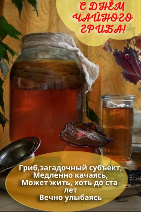 День чайного гриба - картинки прикольные, поздравления на 15 января 2024