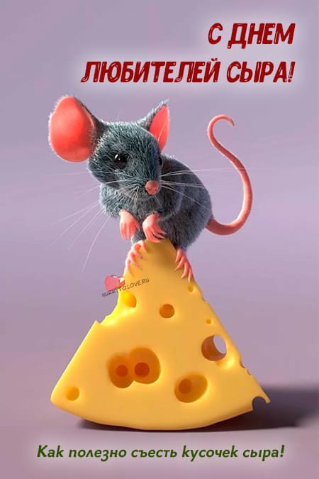 День любителей сыра - картинки прикольные, поздравления на 20 января 2024