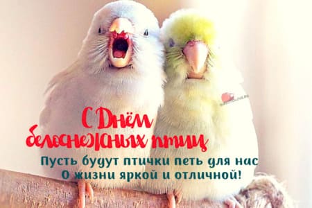 День белоснежных птиц, картинка для поздравления на 14 января.