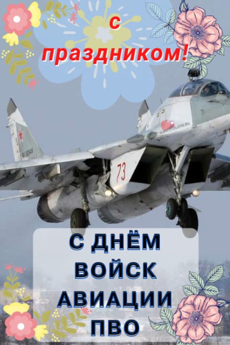 День войск авиации ПВО РФ - картинки прикольные, поздравления на 22 января 2024