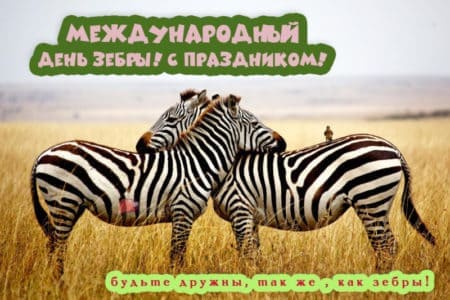 Международный день зебры, картинка на 31 января.