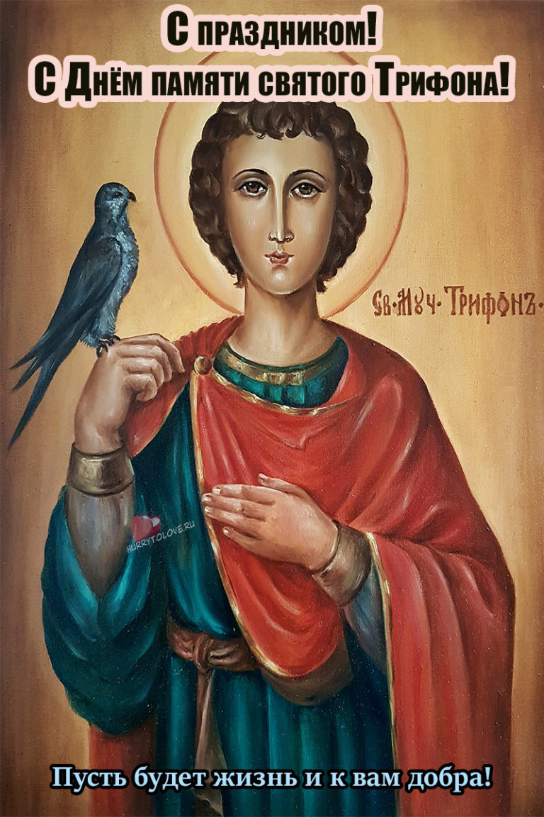 Святой трифонова. День памяти Святого мученика Трифона 14 февраля.