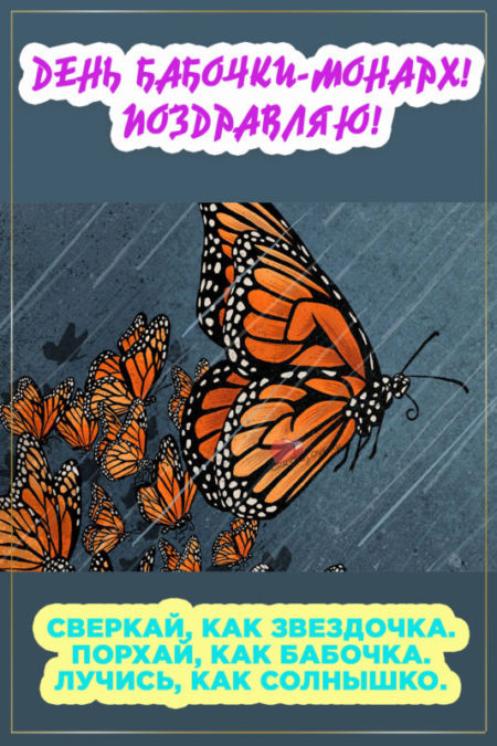 День бабочки-монарх - картинки, поздравления на 5 февраля 2024