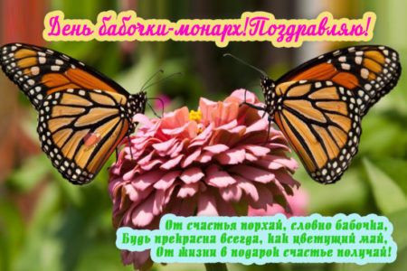 День бабочки-монарх, картинка с надписью.