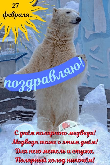 День полярного (белого) медведя - картинки, поздравления на 27 февраля 2024