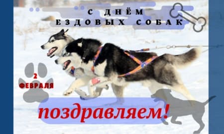 День ездовых собак, картинка на 2 февраля.