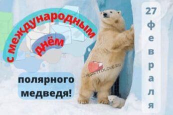День полярного (белого) медведя, картинка поздравление.