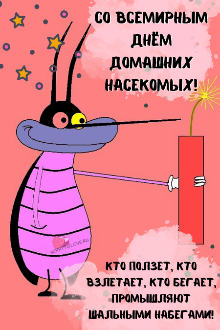 Международный день домашних насекомых - картинки с надписями на 9 марта 2024