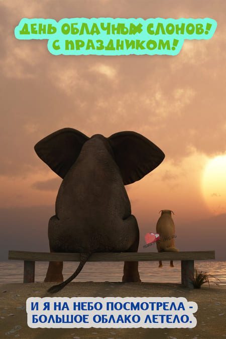 День облачных слонов - картинки прикольные на 10 марта 2024