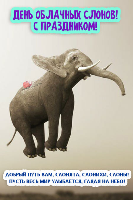 День облачных слонов - картинки прикольные на 10 марта 2024