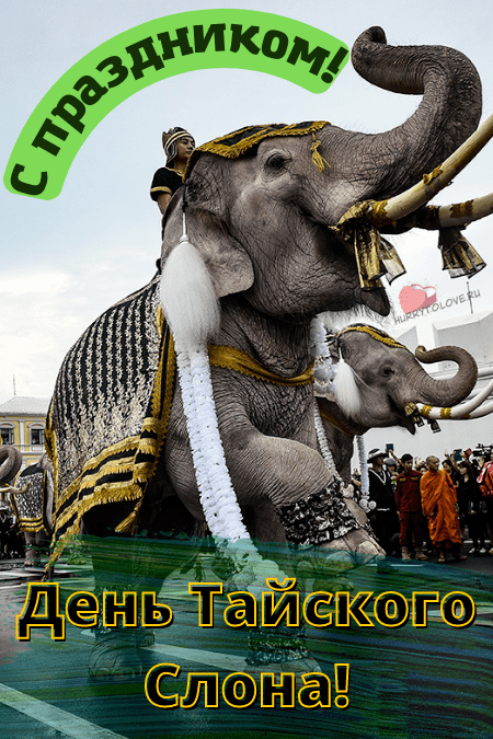 Праздники 13.03 2024. Национальный день тайского слона. День тайского слона открытка. Праздник слонов в Таиланде.