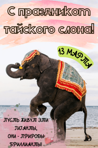 Праздники 13.03 2024. День тайского слона. День тайского слона открытка. День тайского слона картинки.