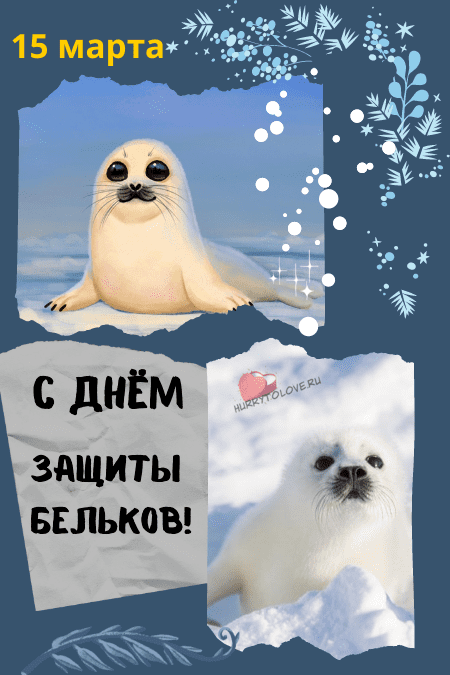 Международный день защиты бельков - картинки красивые на 15 марта 2024