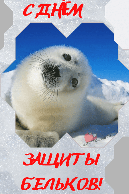 Международный день защиты бельков - картинки красивые на 15 марта 2024