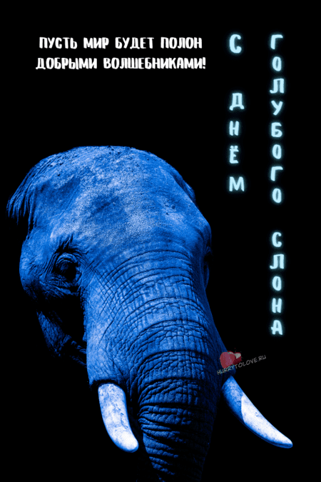 Праздник голубых слонов - картинки с надписями на 11 марта 2024