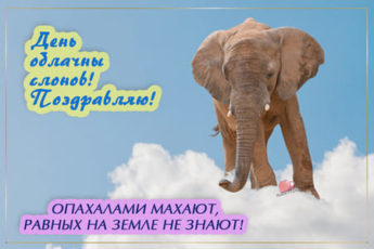 Картинка, поздравление на праздник День облачных слонов.
