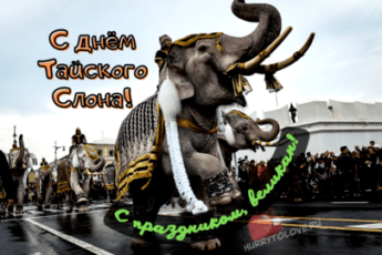 Картинка на праздник День тайского слона.
