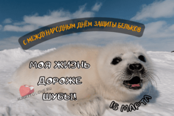 Картинка на международный день защиты бельков.