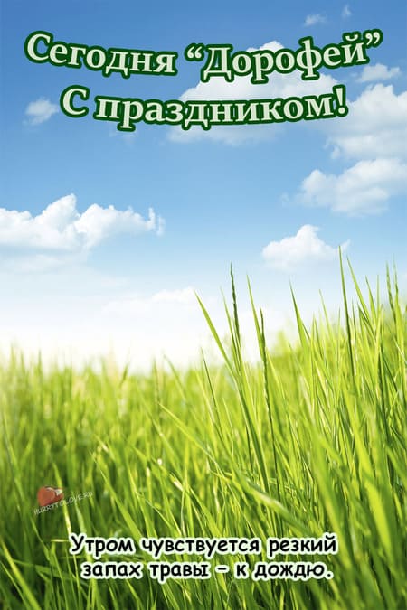 Дорофеев день - картинки с надписями, поздравления на 18 июня 2024
