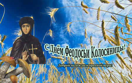 Феодосья Колосяница, картинка с надписью.