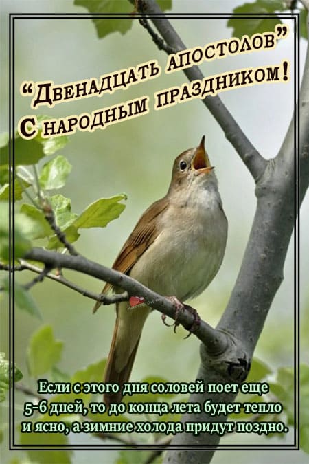 Двенадцать Апостолов - картинки красивые, с надписями на 13 июля 2024