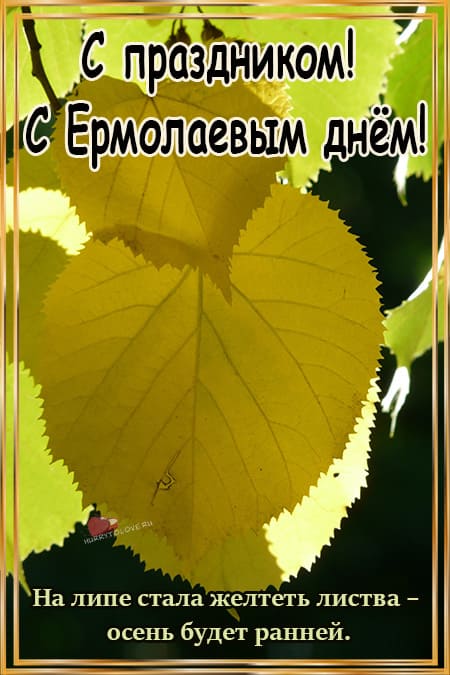 Ермолаев день - картинки с надписями, поздравления на 8 августа 2022