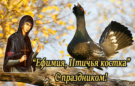 29 sentyabrya efimiya ptichya kostka kartinka 2 - Ефимия, птичья костка - картинки с надписями на 29 сентября 2023