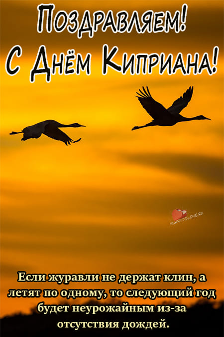Куприянов день - картинки с надписями, поздравления на 13 сентября 2024