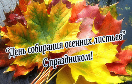15 oktyabrya den sobiraniya osennih listev kartinka 2 - День собирания осенних листьев - картинки прикольные на 15 октября 2023