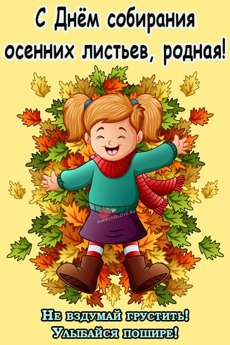 День собирания осенних листьев - картинки прикольные на 15 октября 2023