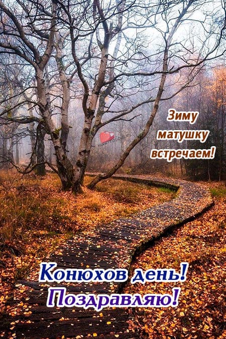 Иванов день(Проводы осени) - картинки с надписями на 1 ноября 2023