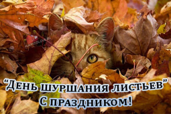kartinka na den shurshaniya listyami 1 345x230 - День шуршания листьями - картинки прикольные с надписями на 10 октября 2023