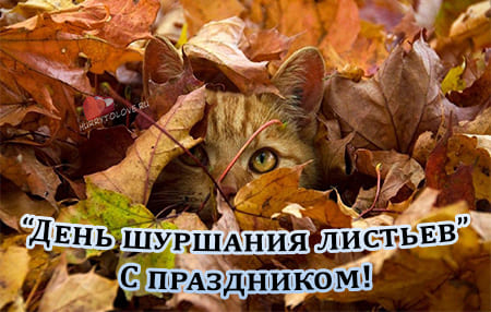 kartinka na den shurshaniya listyami 1 - День шуршания листьями - картинки прикольные с надписями на 10 октября 2023