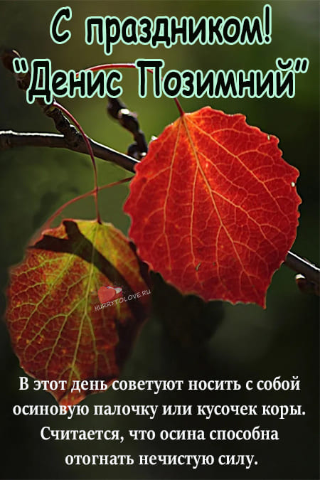 Денис Позимний - картинки с надписями, поздравления на 16 октября 2023