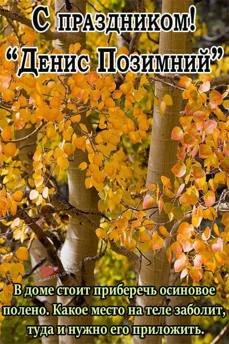 Денис Позимний - картинки с надписями, поздравления на 16 октября 2023