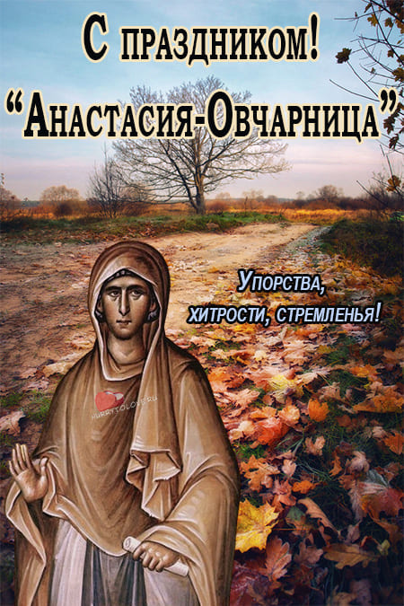 Аврамий Овчар и Анастасия Овечница - картинки с надписями на 11 ноября 2023